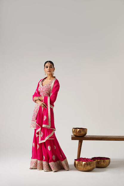 Dilruba -  Short Kurta Sharara Set - Pink
