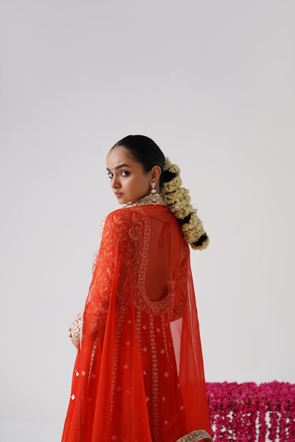 Dilruba - Kalidaar Set - Orange