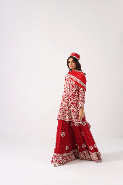 Nazrana 2.0 - Short Kurta Sharara Set