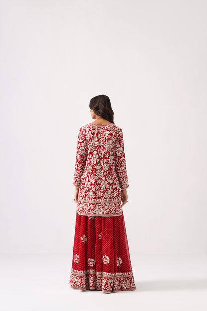 Nazrana 2.0 - Short Kurta Sharara Set