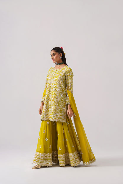 Roshini - Short Kurta Sharara Set