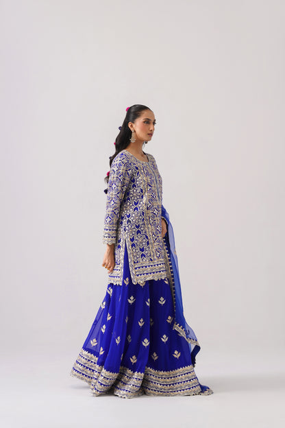 Roshini - Short Kurta Sharara Set