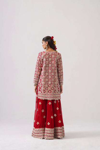 Roshini - Short Kurta Sharara Set