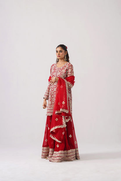 Roshini - Short Kurta Sharara Set