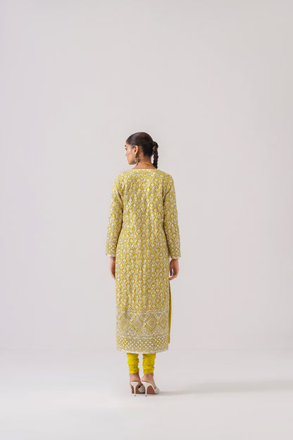 Roshini - Long Kurta Set